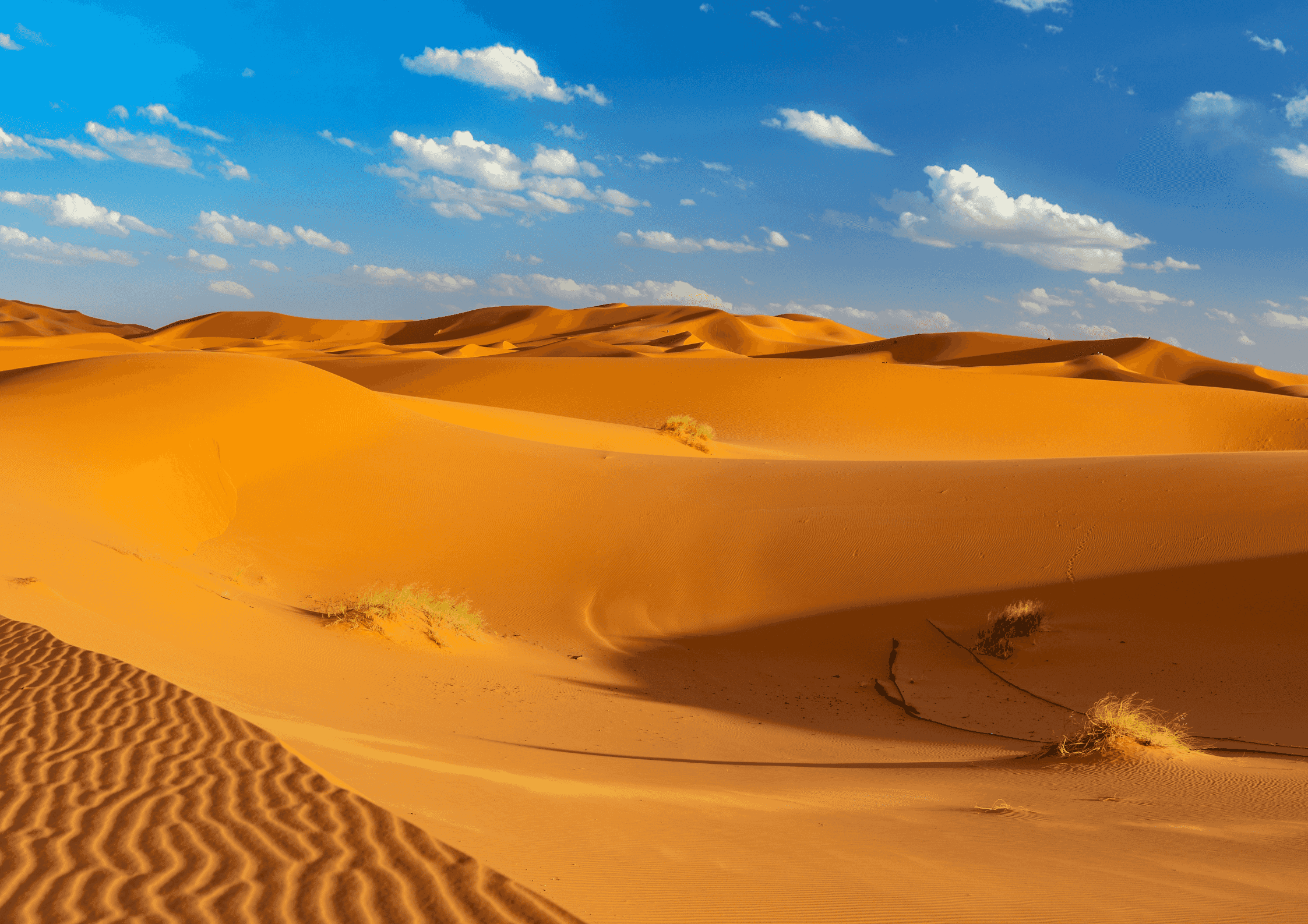 ΣΑΦΑΡΙ JEEP 4X4 - ΕΡΦΟΥΝΤ - ΤΙΝΕΡΧΙΡ - ΦΑΡΑΓΓΙΑ ΤΟΝΤΡΑ - ΟΥΑΡΖΑΖΑΤ