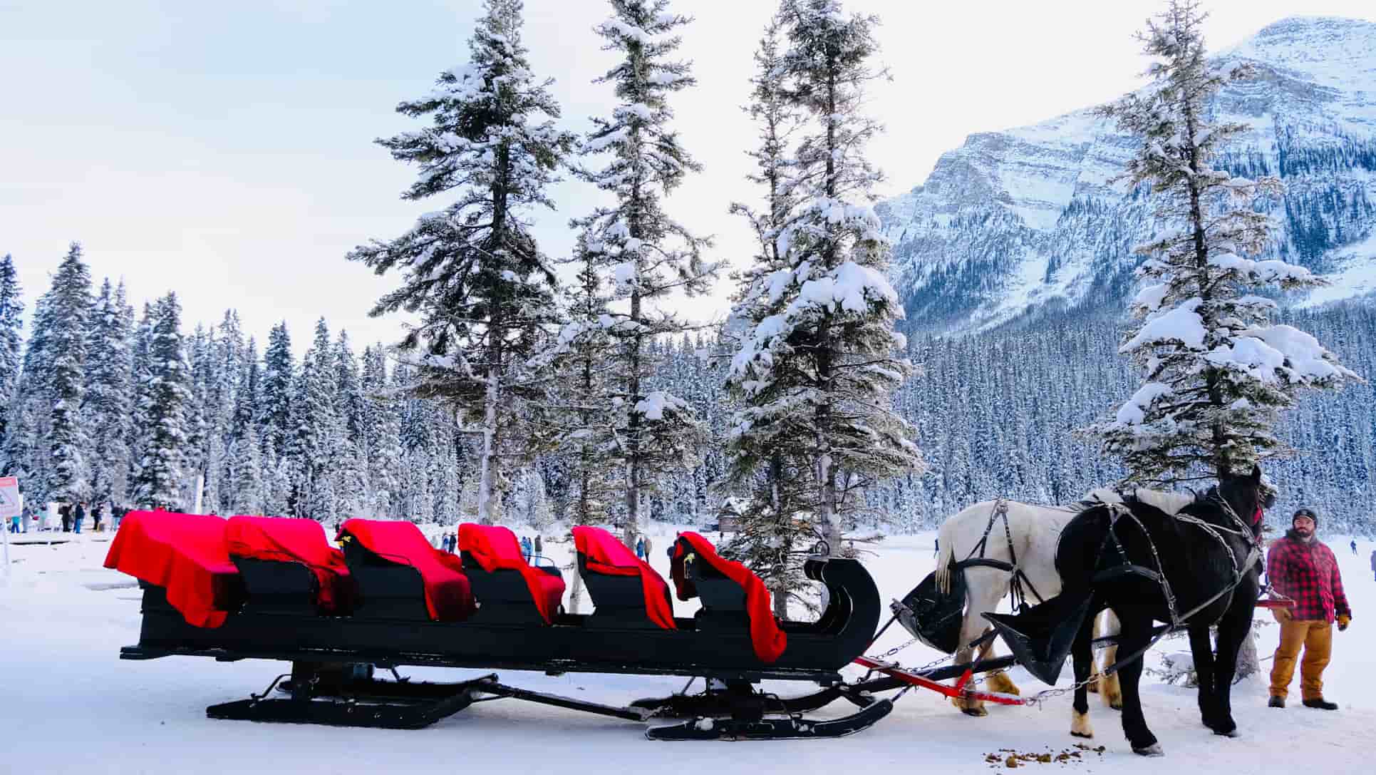 2η ΗΜΕΡΑ: SNOWMOBILE ΣΑΦΑΡΙ – ΦΑΡΜΑ ΤΑΡΑΝΔΩΝ – ΦΑΡΜΑ ΧΑΣΚΥ – ΜΟΥΣΕΙΟ ΑΡΚΤΙΚΟΥΜ 