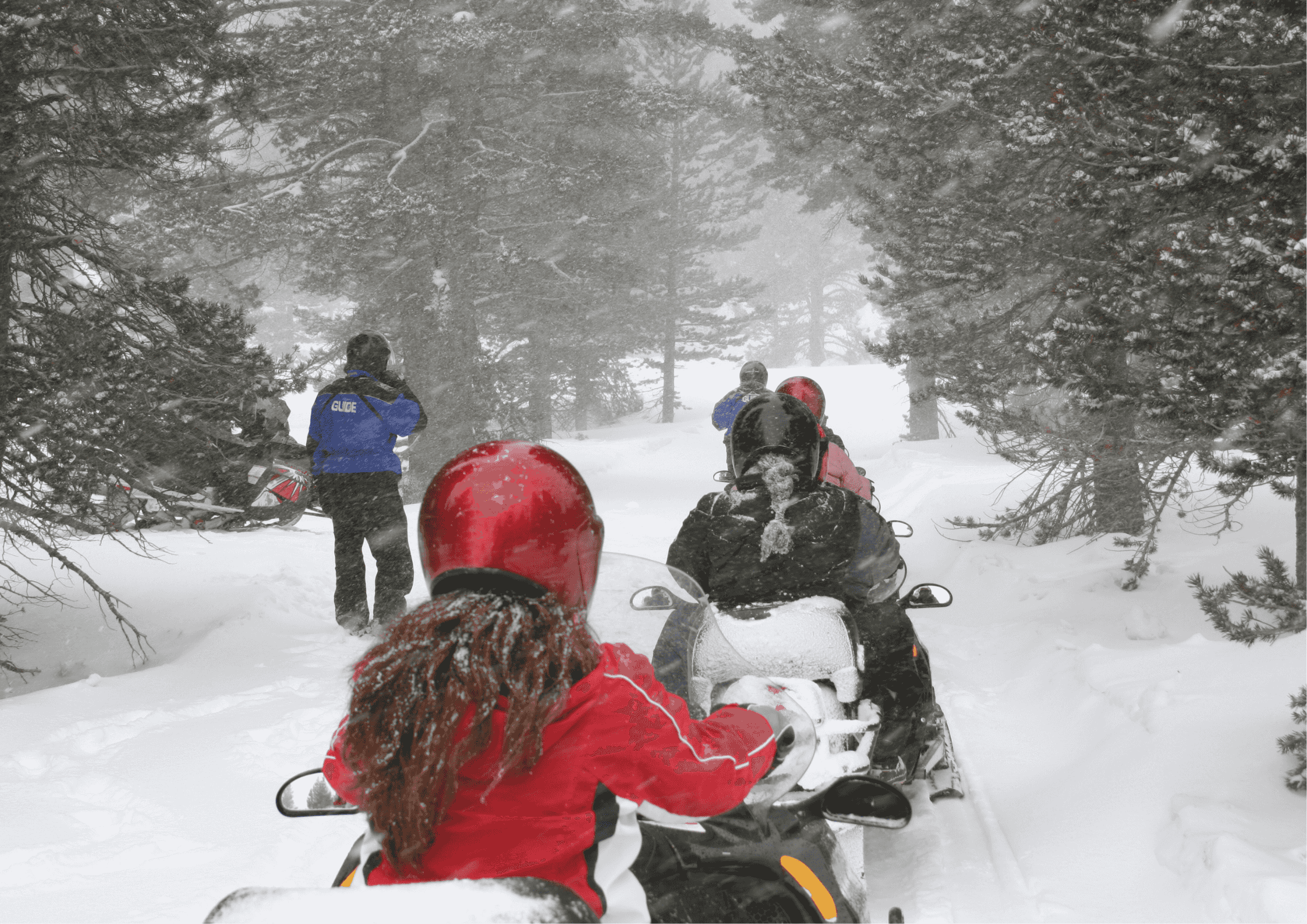 ΡΟΒΑΝΙΕΜΙ – SNOWMOBILE ΣΑΦΑΡΙ–ΦΑΡΜΑ ΤΑΡΑΝΔΩΝ – ΦΑΡΜΑ ΧΑΣΚΥ