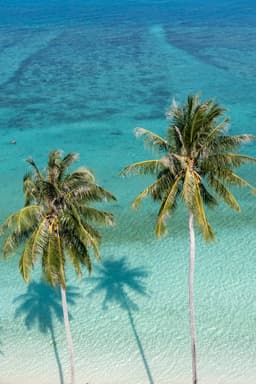  Ολοήμερη κρουαζιέρα στο νησί Nusa Penida (Δυτική όχθη)