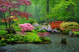 Προαιρετική εκδρομή από τη Σεούλ στο Nami island & Gardens of morning calm 